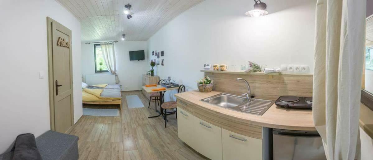 Appartement Pod Horou à Stiavnicke Bane Extérieur photo